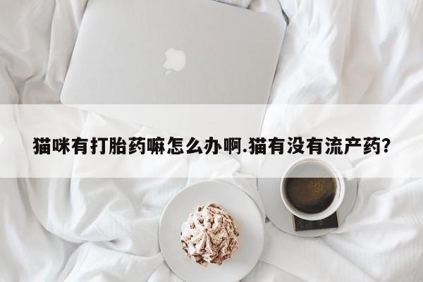 求买打胎药微信号猫咪有打胎药嘛怎么办啊.猫有没有流产药？